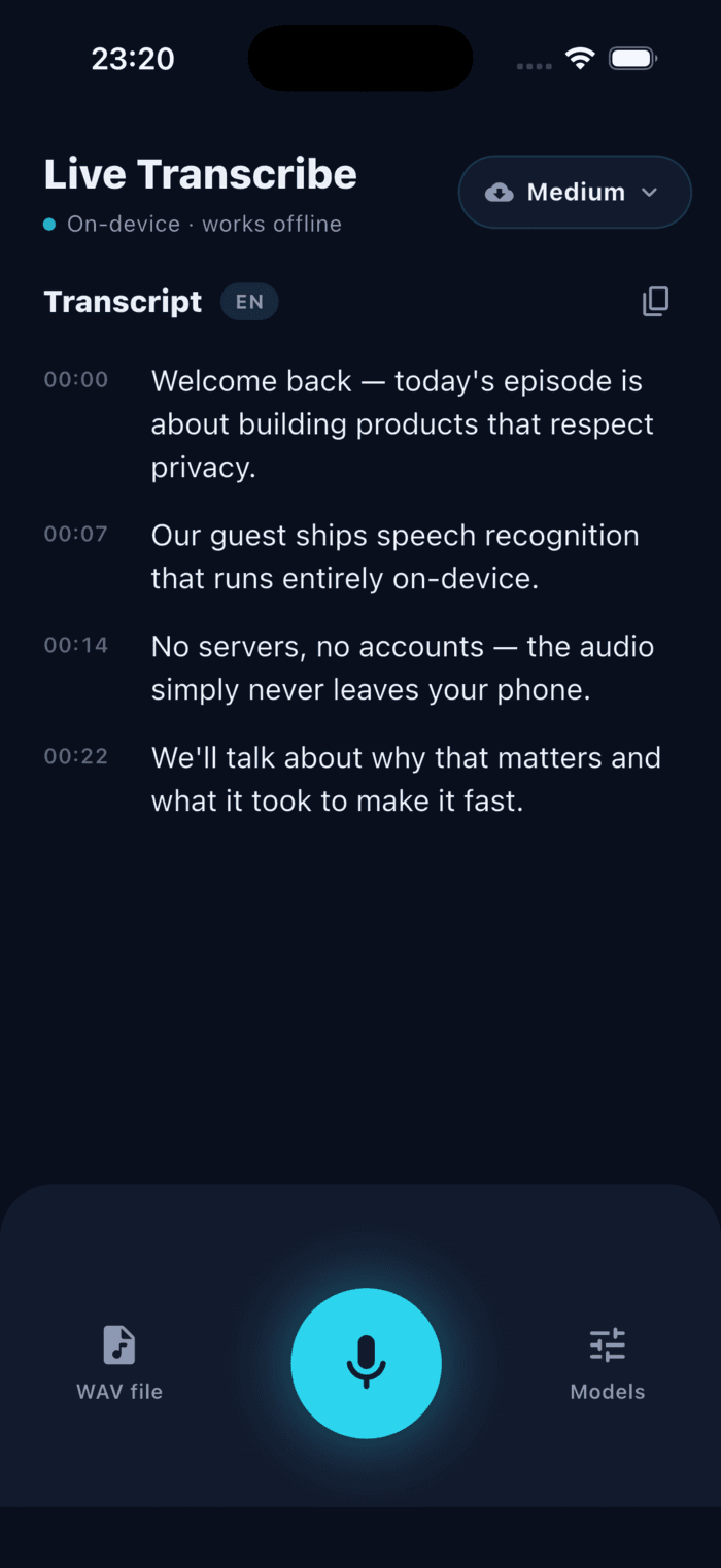A finished, timestamped transcript
